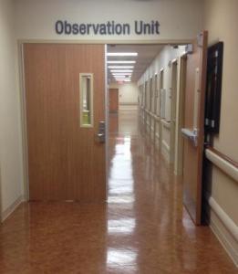 Observation Unit