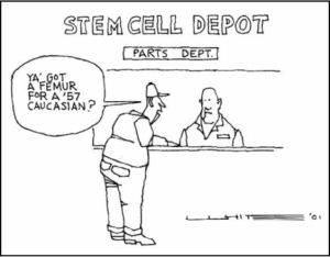 Cartoon Stem Cell Depot