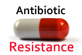 Antibiotic Resistance