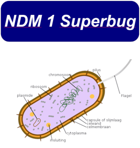 ndm1-superbug