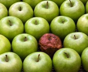 bad-apple