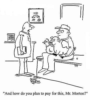 Image result for cartoon bait and switch health insurance